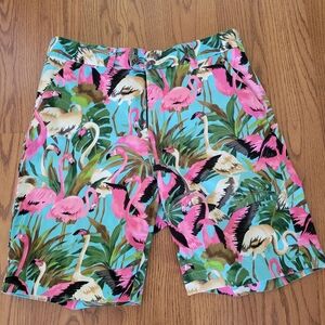 LOUD MOUTH Flamingo Pattern Shorts Size 34 Tropical Summer Fun Golf Preppy